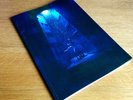 Kate Bush OFFICIAL UK tour programme Before The Dawn KT FELLOWSHIP 2014