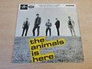 The Animals/The Animals Is Here/1964 Columbia 7