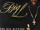 Big L - The Big Picture (1974 - 1999) '00 2xLP US ORG  DJ Premier Lord Finesse