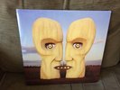 PINK FLOYD - THE DIVISION BELL LP RPI-543752