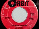HEAR IT 50's Doo-Wop 45 rpm record The Velours 