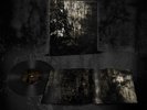 Blut Aus Nord - MoRT LP Black Metal Vinyl