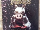 Primus Pork Soda LP