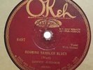 LONNIE JOHNSON Roaming Rambler Blues/Mean Old Bed Bug Blues OKEH 8497 V+ HEAR