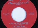 Garage Psych 45 LEMON DROPS I Live In The Springtime REMBRANDT HEAR VG+