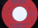 Garage Psych 45 LIBERTY BELL That's How It Will Be GEE-BEE HEAR