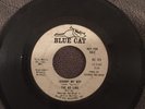 The Ad Libs ?– I'm Just A Down Home Girl / Johnny My Boy - Blue Cat Promo Hear