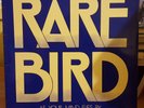 Rare Bird ?– As Your Mind Flies By Lp Germany
