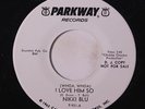 NIKKI BLU: I Love Him So / Instro 45 (dj, vinyl issue) Soul