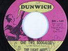 Inst. Garage Mod Psych 45 LIGHT NITES One Two, Boogaloo DUNWICH HEAR