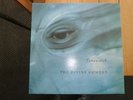 THE DIVINE COMEDY TIMEWATCH (12