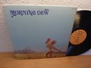 MORNING DEW Original Vintage 1970 Roulette 42049 Psych Garage Fuzz