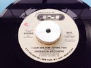 **** ANDERSON BROTHERS ****   I CAN SEE HIM LOVING YOU ** VG+ ** NORTHERN SOUL