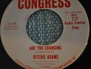 RITCHIE ADAMS 45RPM ARE YOU CHANGING / THE KING