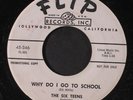 SIX TEENS: Heaven Knows I Love You / Why Do I Go To School 45 (dj, some lbl wea