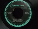 ZZ4 DEL-FI 4197 SURF ROCK THE SENTINALS SUNSET BEACH BIG SURF