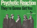 Count Five - Psychotic Reaction (7