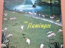 THE FLAMINGOS LP CHECKER 1433 RARE VG++ BLACK LABEL ORIG DOO-WOP