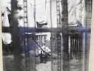 MINT/NEW PAUL McCARTNEY CHAOS & CREATION IN THE BACK YARD 2005 UK GTFLD wPRINTS