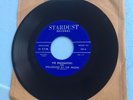 The Enchanters - Spellbound By The Moon 45 RARE Stardust Records Detroit Doo Wop