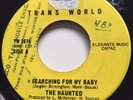 GARAGE PUNK The Haunted SEARCHING FOR MY BABY Trans World 45 rare Canadian