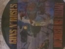GUNS N' ROSES...APPETITE FOR DESTRUCTION ( PIC DISC LP)
