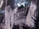 SEALED President Yo La Tengo/New Wave Hot Dogs, double LP, Matador OLE 206-1