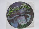 METALLICA CREEPING DEATH PICTURE DISC, MUSIC FOR NATIONS P12 KUT 112 LP