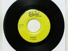 RAY ANDERSON Sputniks And Mutniks / Dreaming 45 Vinyl Starday RARE HEAR K-1166
