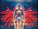 The Flower Kings - Unfold the Future