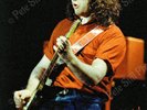 RORY GALLAGHER in concert @ 1980 Reading Rock Festival  60 PHOTOS  Stage Struck
