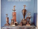JIMMY EAT WORLD-Bleed American  VINYL NEU