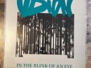 VISION - IN THE BLINK OF AN EYE 1STpress rare NYHC madball agnostic