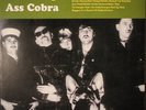 Turbonegro ?– Ass Cobra (LP)