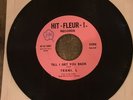Rare 1980 Power Pop/Punk 45 Teeni L Hit-Fleur Records