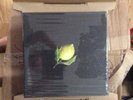 NEW Beyonce COLLECTOR'S EDITION HOW TO MAKE LEMONADE BOX SET COLOR LP VINYL BOOK