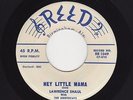 TwinSpin ALA Rockabilly LAWRENCE SHAUL Hey Little Mama/Tutti Frutti VG++ HEAR