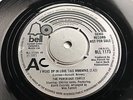 Partridge Family UK DEMO 7