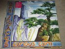 OZRIC TENTACLES - CURIOUS CORN - NEW - DOUBLE LP RECORD