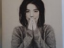 BJORK Debut - Original UK LP + Booklet - Sugarcubes Kukl Human Behaviour