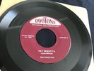 THE PENGUINS Hey Senorita / Earth Angel   RARE Doo Wop 45 DOOTONE 348 EX