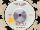 The Nomads - Icky Poo KILLER R&B TITTYSHAKER SOUL MOD ROCKER DANCER Hear