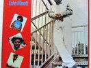 ECHO MINOTT / WHAT THE HELL [ JAMMY'$ ] LP