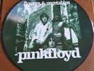 Pink Floyd Flowers & Vegetables Picture Disc LP *VERY RARE* *STUNNING*