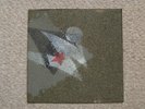 Zoviet France-Gris 10