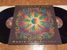 Jethro Tull - Roots To Branches LP rare 1995 record VG++