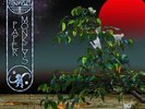 Ozric Tentacles - Paper Monkeys (2011)  Vinyl 2LP  NEW/SEALED  SPEEDYPOST