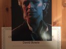 Genuine Hand Signed David Bowie 12x8 Photo With COA