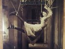 Porcupine Tree ?– Signify Vinyl 1st Press Delerium Records ?– DELEC LP 045D