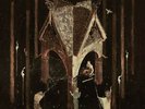 Wolves in the Throne Room - Thrice Woven 2 x LP Clear Smokey Colored Vinyl - NEW